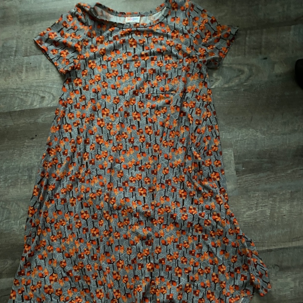 LuLaRoe Carly dress